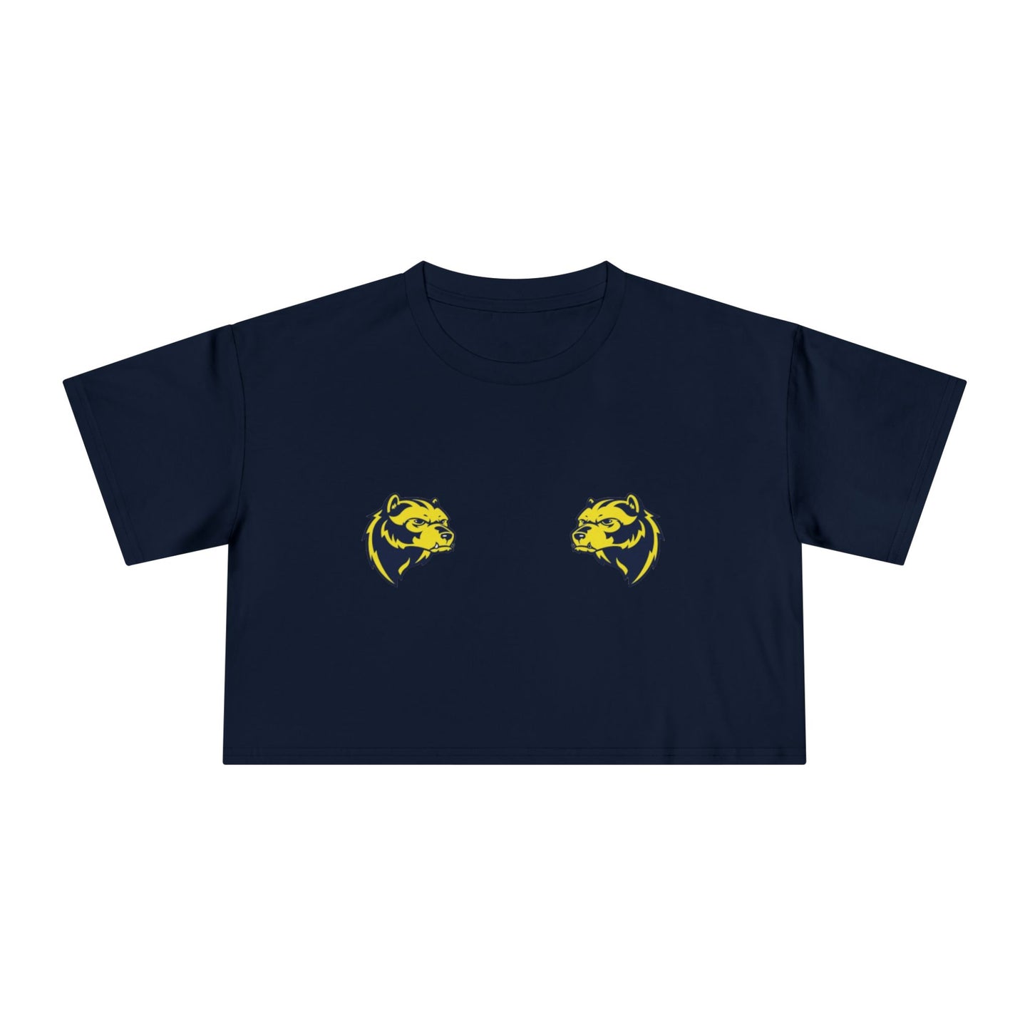 🐾 Victors Vibes Only U Mich Wolverines Women’s Crop Tee